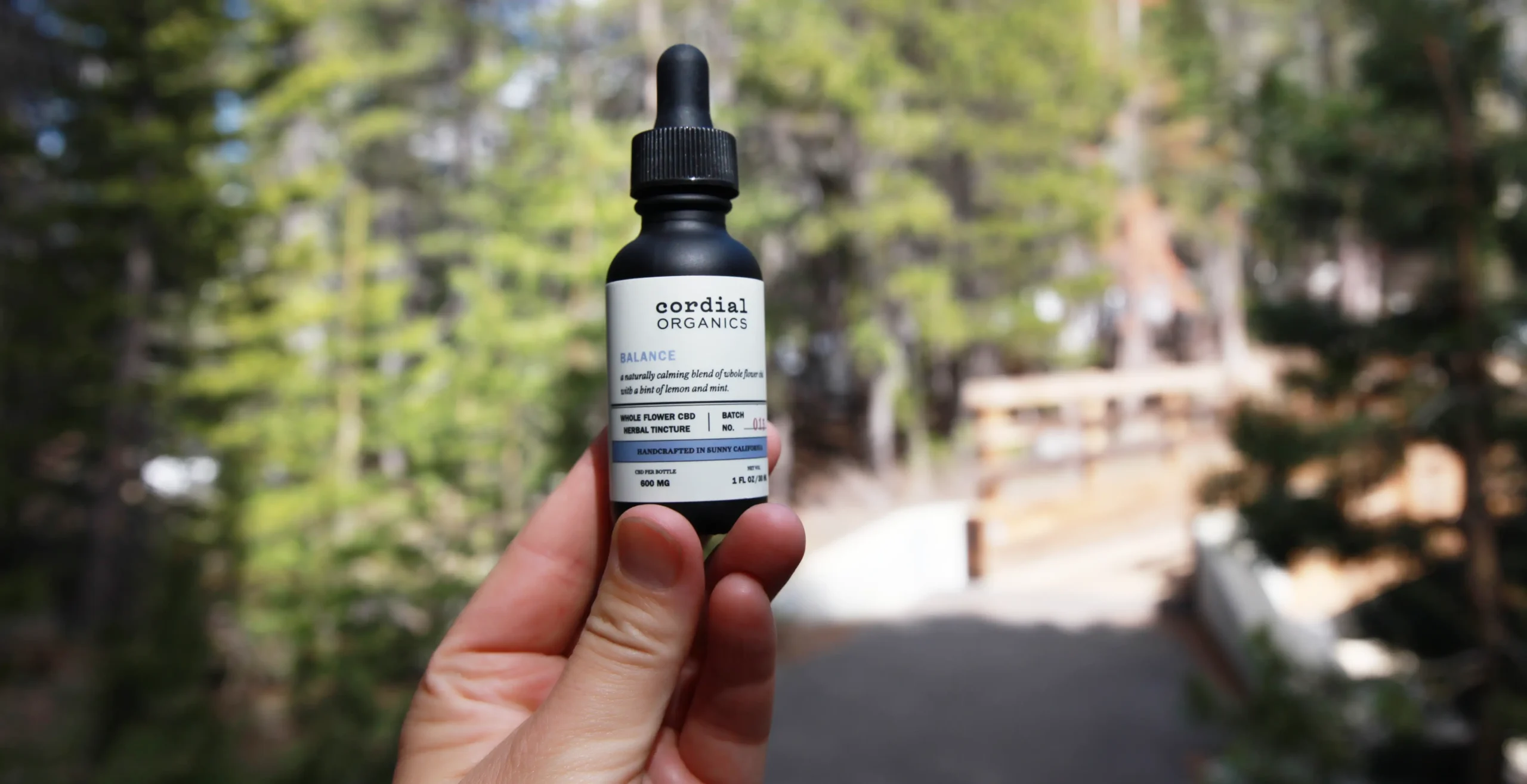 Hand holding CBD oil bottle outdoors