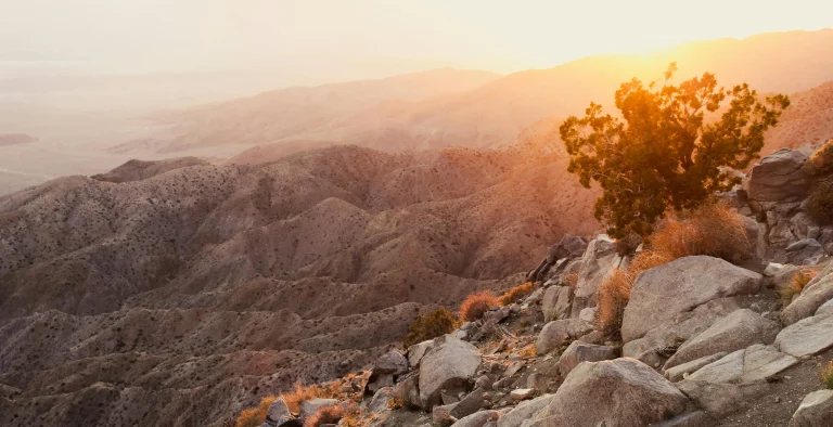 An image of the sun rising in the desert