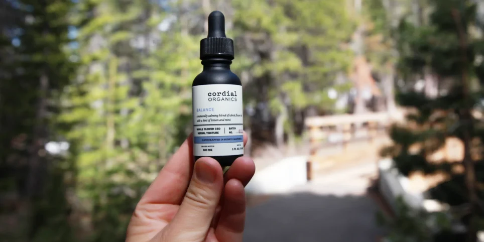 Hand holding CBD oil bottle outdoors