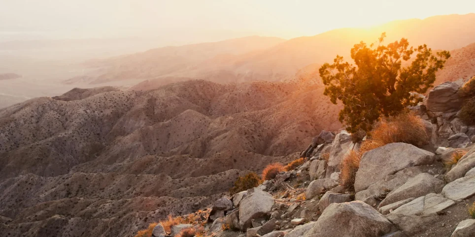 An image of the sun rising in the desert